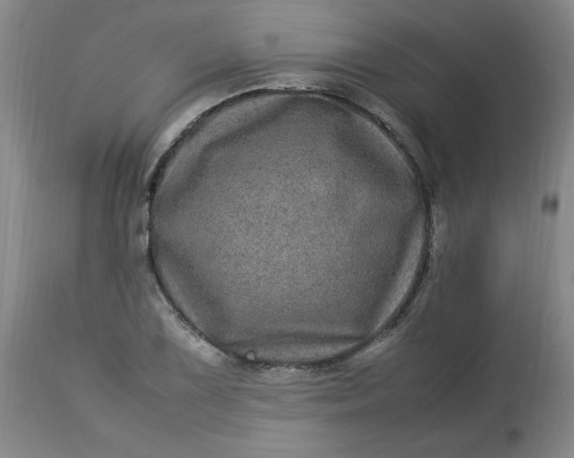 X0000112791075200909111206