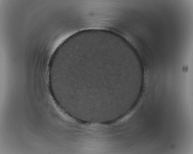 X0000112791077200909111206