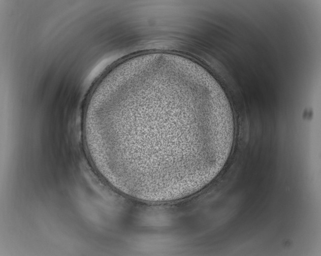 X0000112791078200909111206