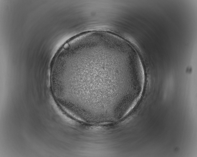 X0000112791079200909111206