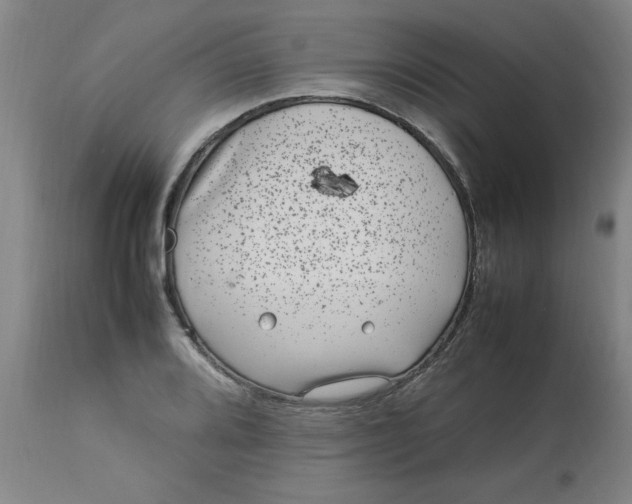 X0000112791080200909111206