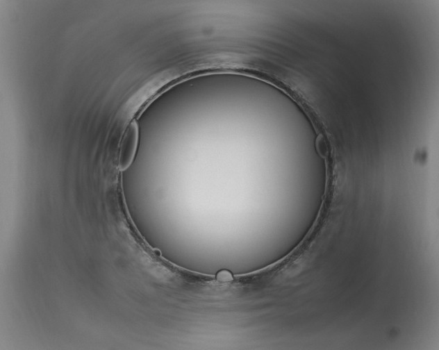 X0000112791081200909111206