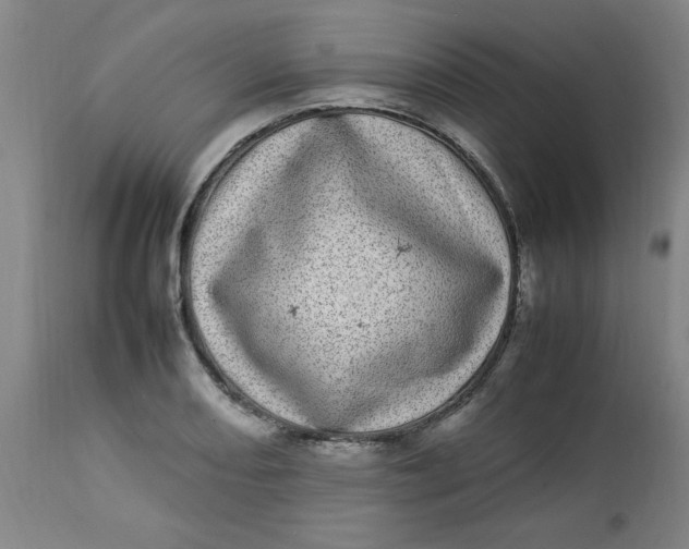 X0000112791082200909111206