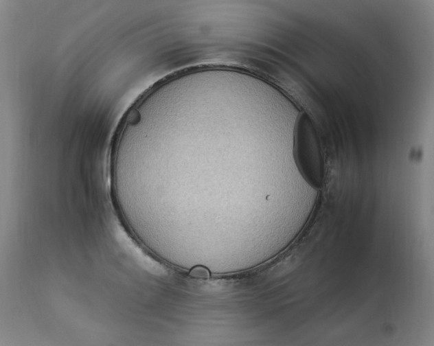 X0000112791084200909111206