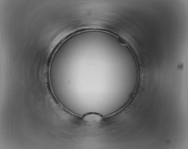 X0000112791085200909111206