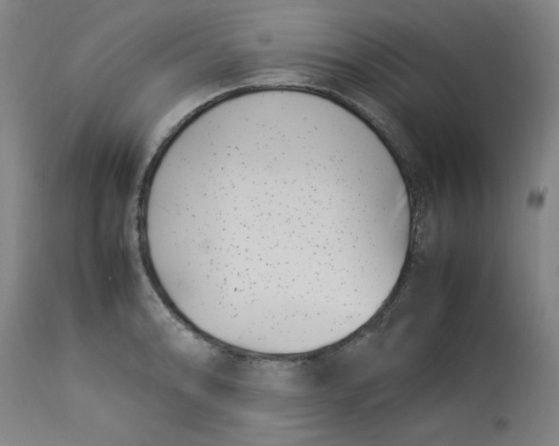 X0000112791086200909111206