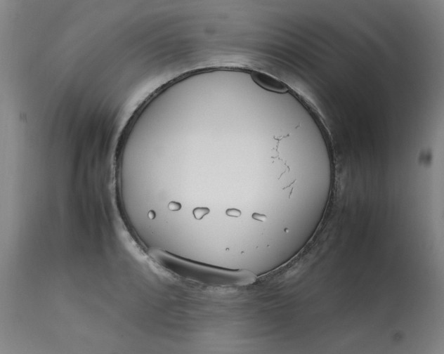 X0000112791088200909111206