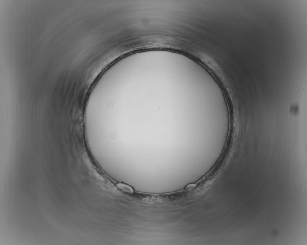 X0000112791089200909111206