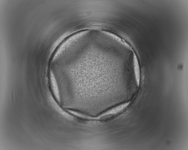 X0000112791091200909111206