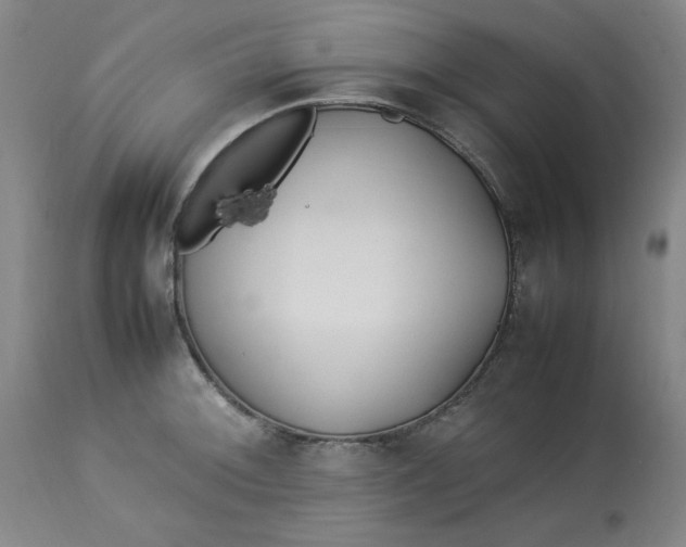 X0000112791092200909111206