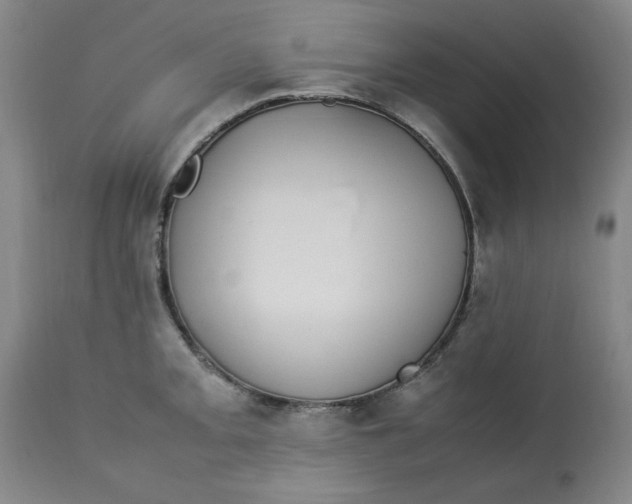 X0000112791093200909111206