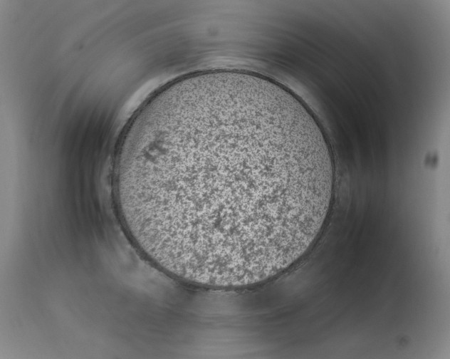 X0000112791094200909111206