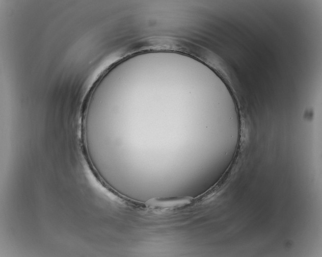 X0000112791095200909111206