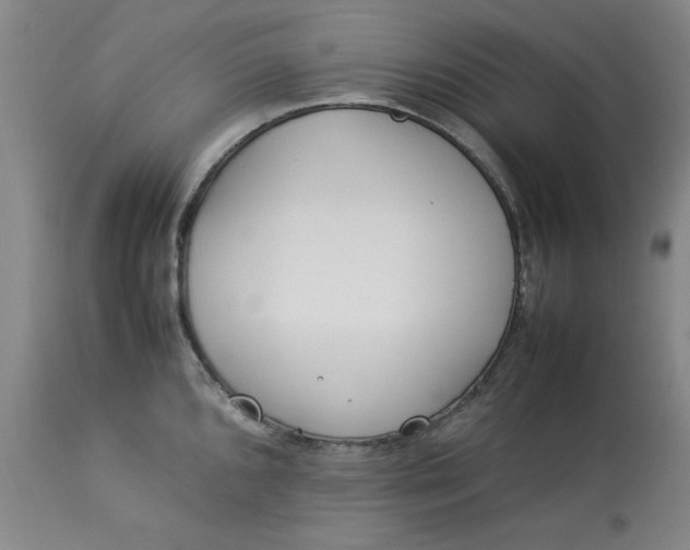 X0000112791096200909111206