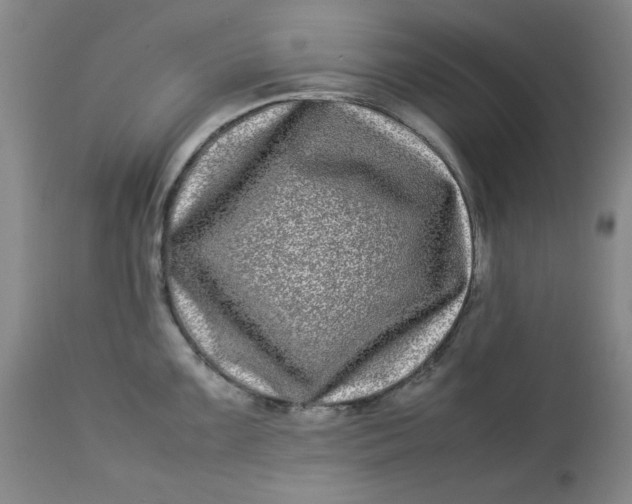 X0000112791099200909111206