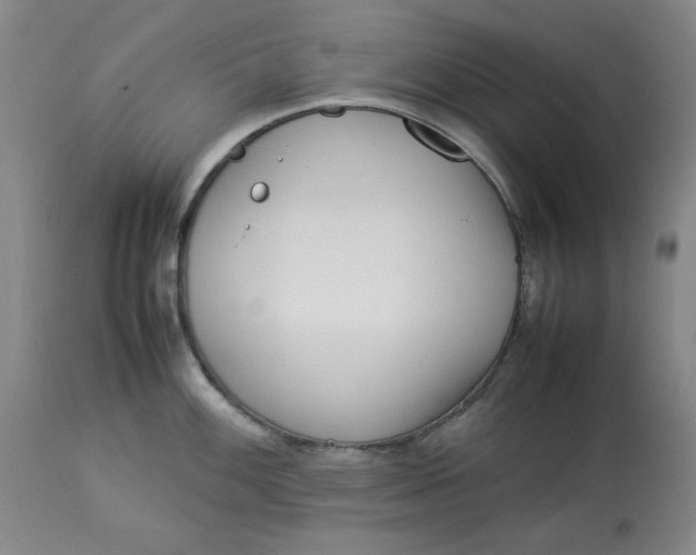 X0000112791100200909111205