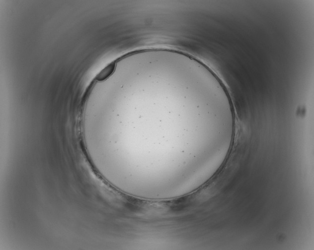 X0000112791101200909111205