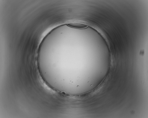 X0000112791102200909111205