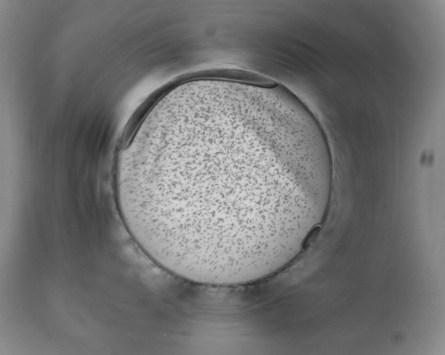 X0000112791104200909111205