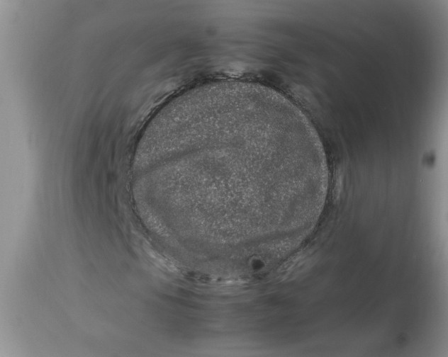 X0000112791105200909111205