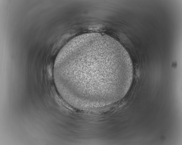 X0000112791106200909111205