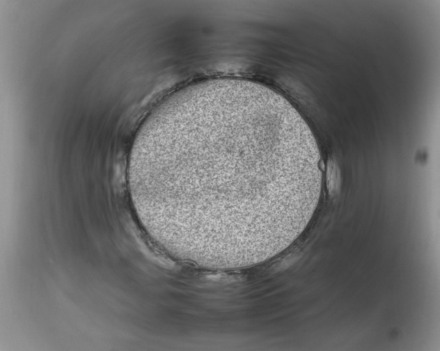 X0000112791107200909111205