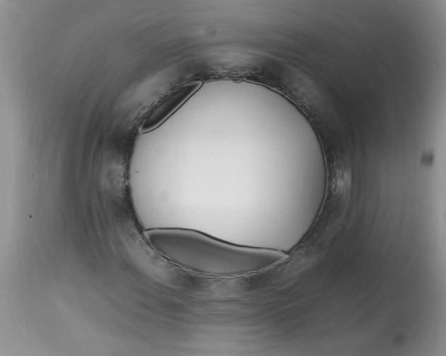 X0000112791108200909111205