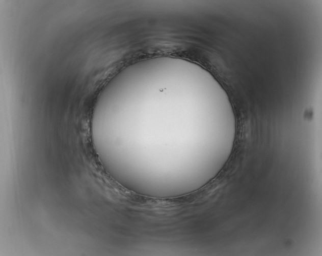 X0000112791109200909111205