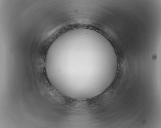 X0000112791110200909111205