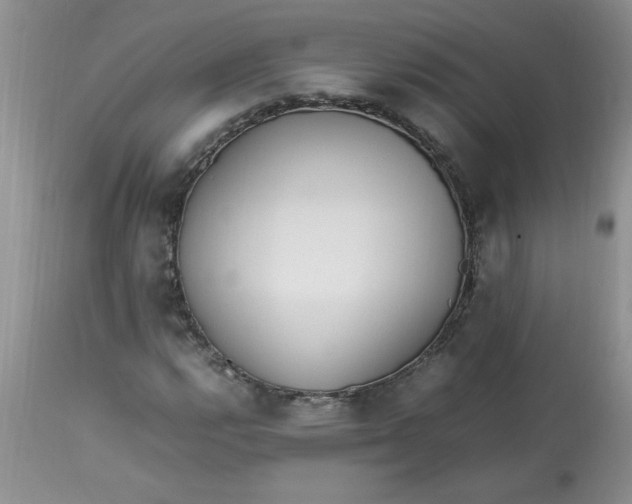 X0000112791112200909111205