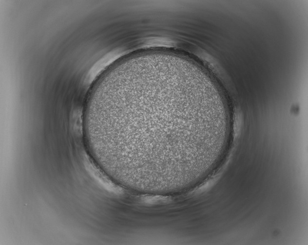 X0000112791113200909111205