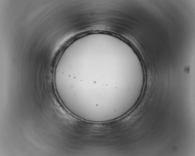 X0000112791115200909111205