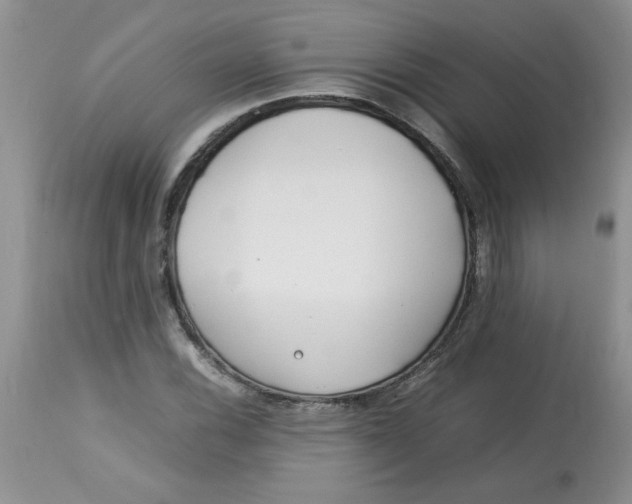 X0000112791116200909111205