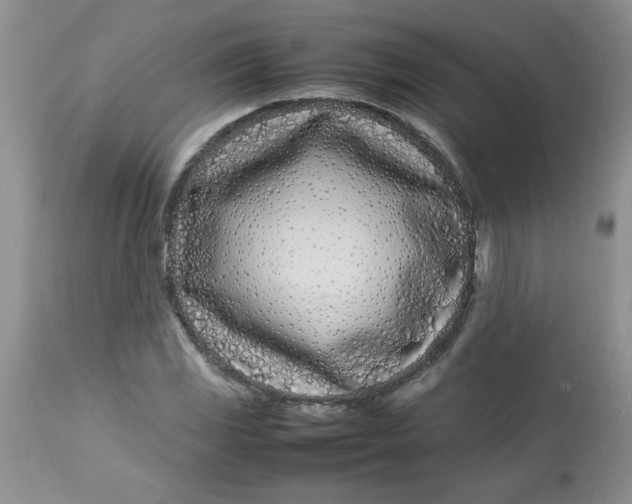 X0000112791117200909111205