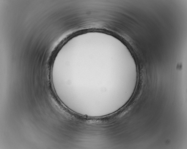 X0000112791118200909111205