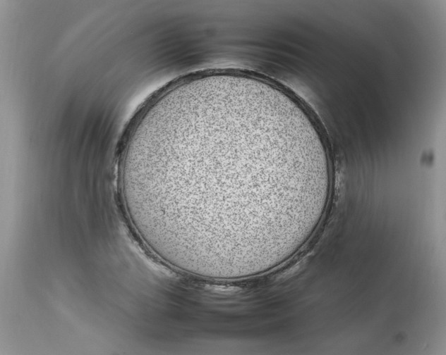 X0000112791119200909111205