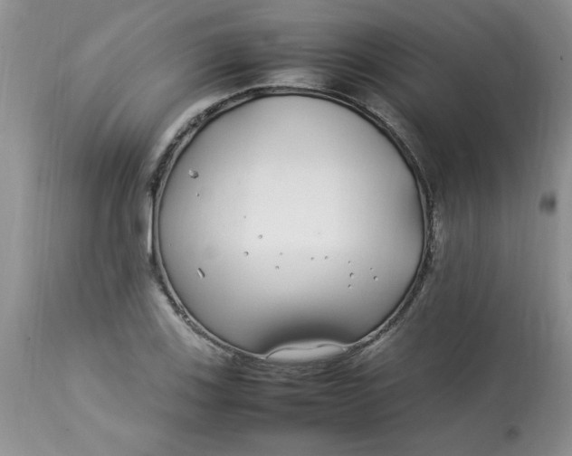 X0000112791123200909111205