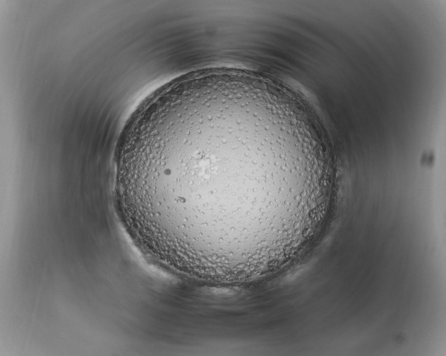 X0000112791125200909111205