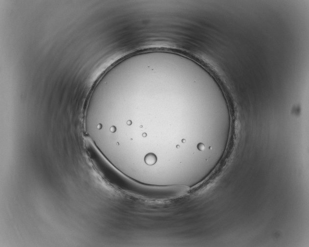 X0000112791129200909111205