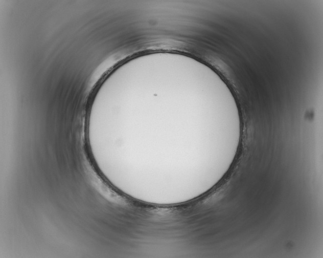 X0000112791130200909111205