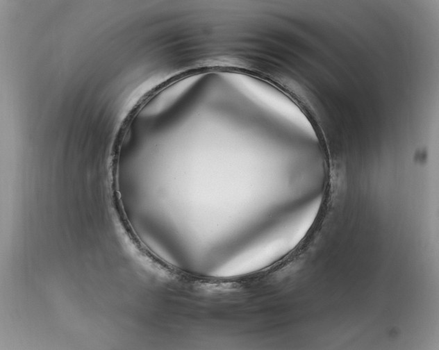 X0000112791133200909111205