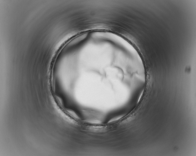 X0000112791135200909111205