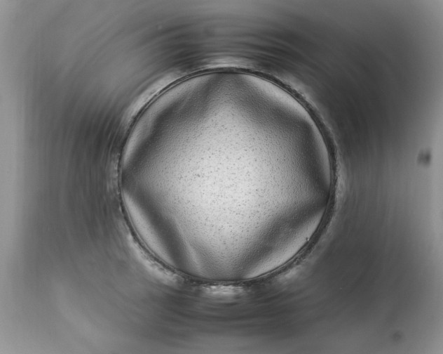 X0000112791137200909111205