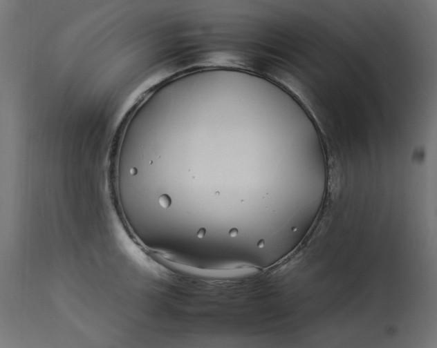 X0000112791139200909111205