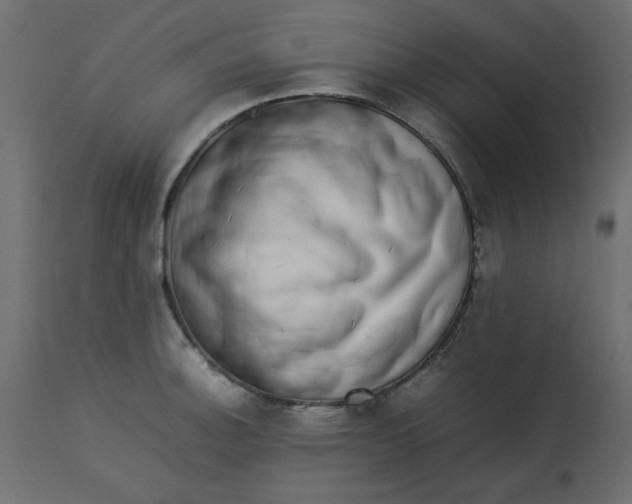 X0000112791140200909111205