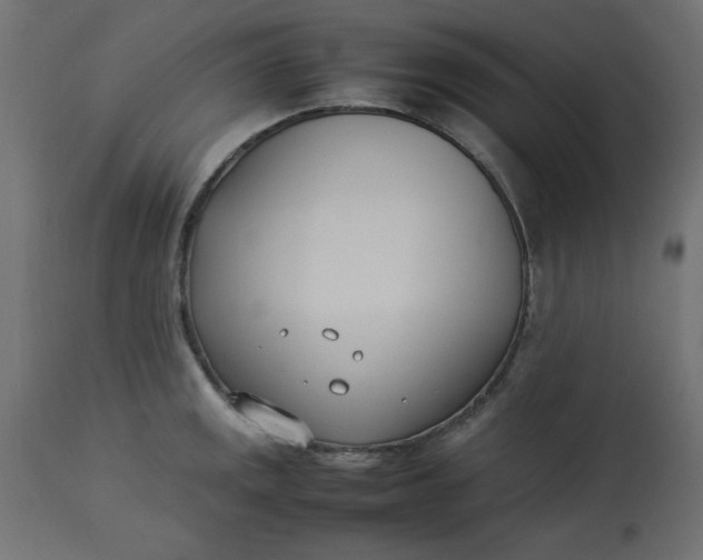 X0000112791141200909111205