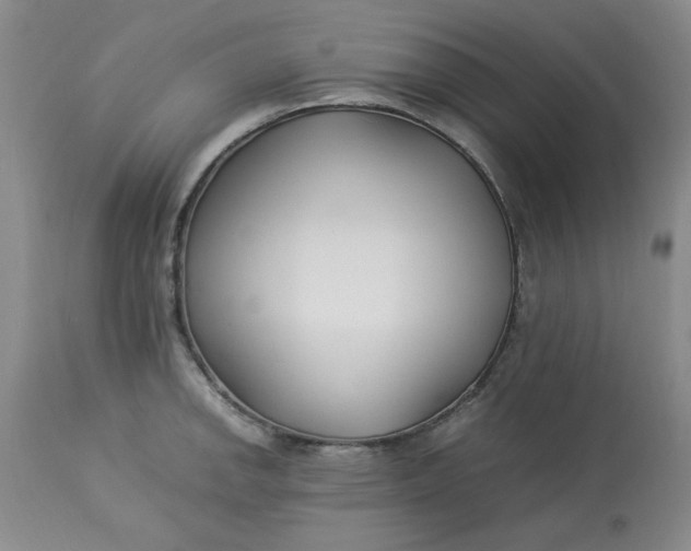 X0000112791142200909111205