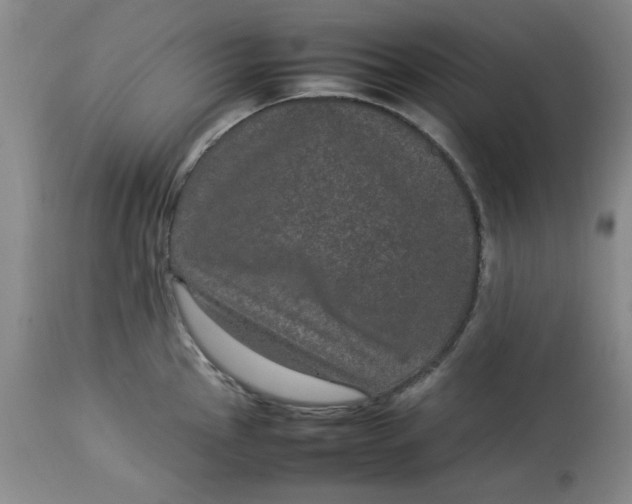 X0000112791145200909111205