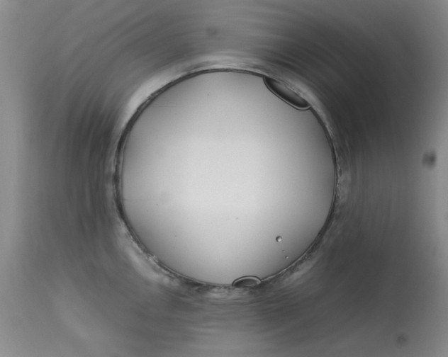 X0000112791146200909111205