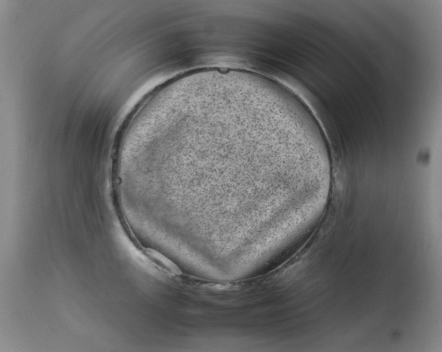 X0000112791147200909111205